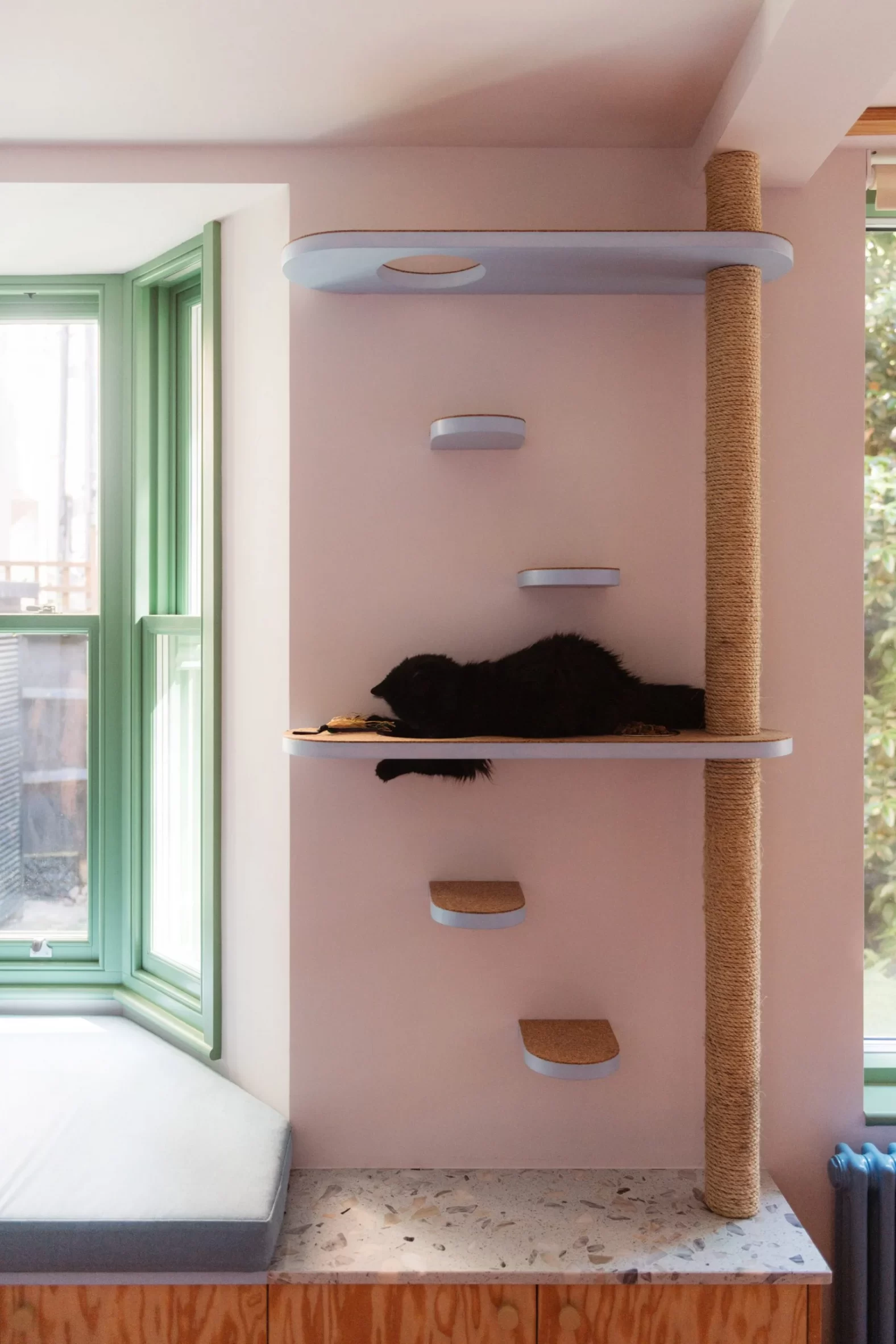 cat climbing frame