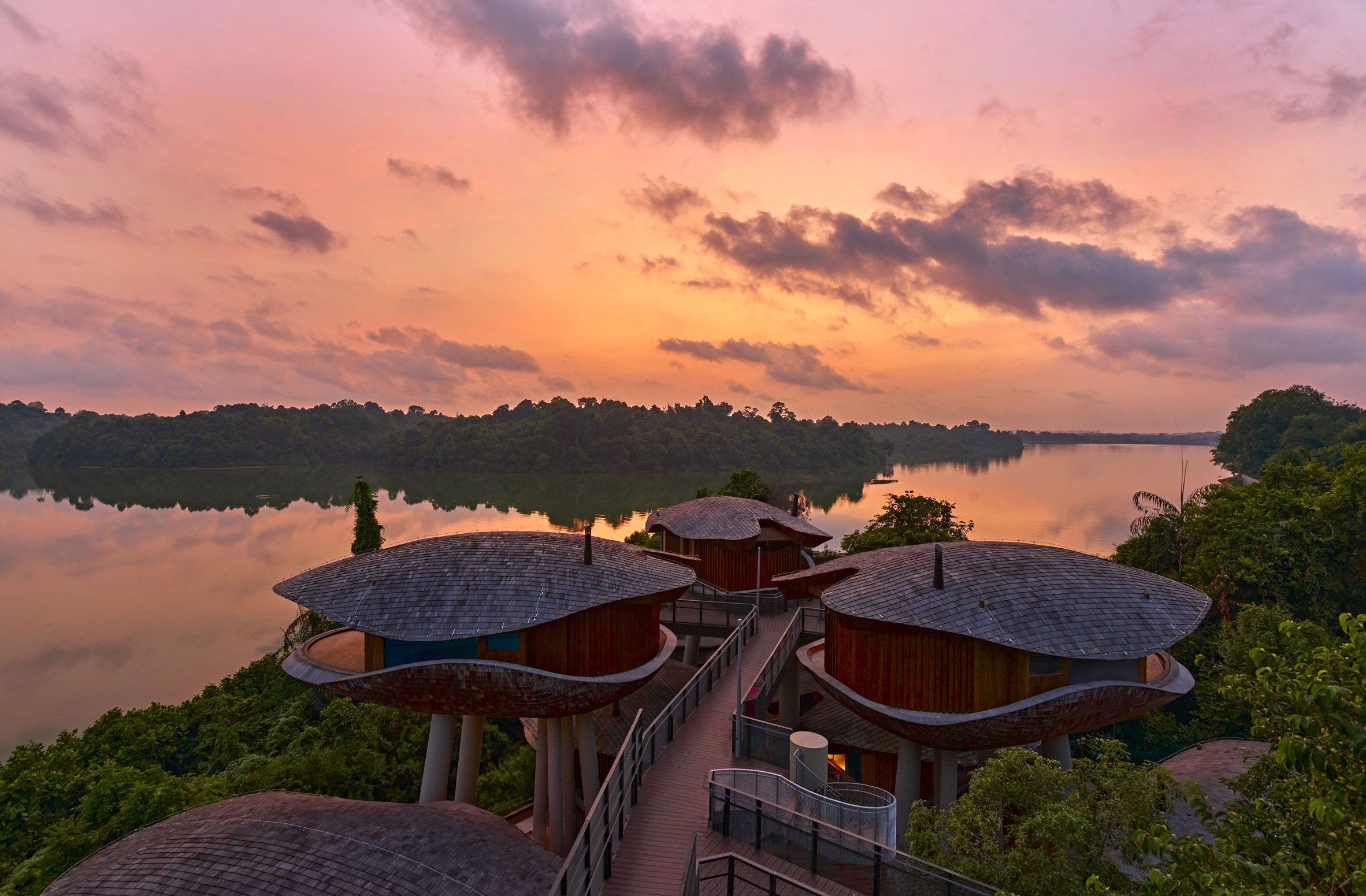 Treehouse pods at Mandai Rainforest Resort by Banyan Tree